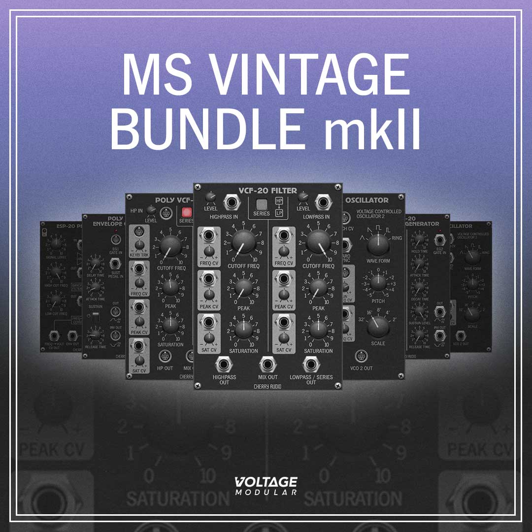 MS Vintage Bundle für VM