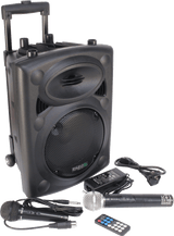 Ibiza 8" speaker with mics