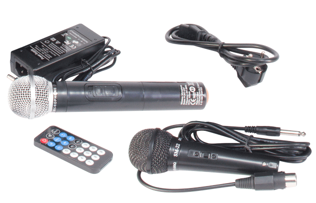 Ibiza 8" speaker with mics