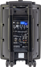 Ibiza 8" speaker with mics