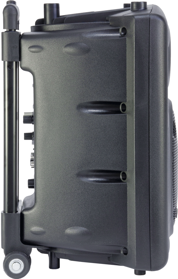 Ibiza 8" speaker with mics