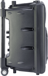 Ibiza 8" speaker with mics