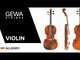 GEWA Violin Allegro - 1/4 (Ready to play, transport-secured)