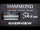 Hammond SKX PRO E-Orgel