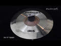 Masterwork Iris 10" Splash