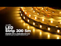 EUROLITE LED-Streifen 300 5m 5050 RGB/WW/CW 24V