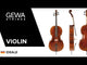 GEWA Violin Ideale - 1/2 (Ready to play incl. violin case, carbon bow, Larsen Aurora strings, transport-secured)