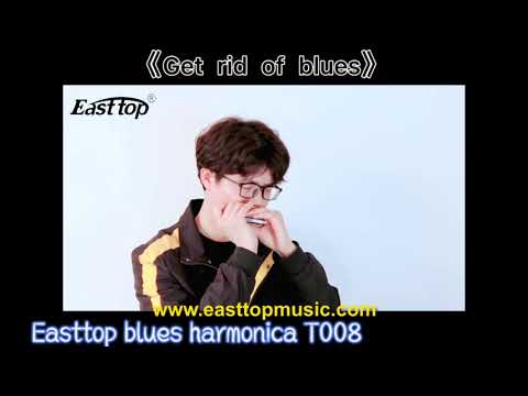 Easttop T008 Blues Harmonikas (C)