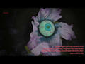 Halloween-Figur Augenblume, animiert, 120-200 cm