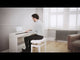 Roland FP-60X Digital Piano (Black)