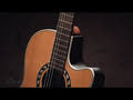 Ovation E-Akustik klassische Gitarren Classic Nylon Legend Mid Cutaway - Natur (1773AX-4-G)