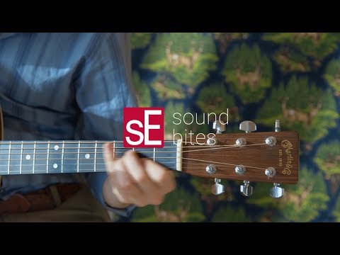sE Electronics sE2200 Kondensator Studiomikrofon