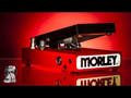 Morley MTBH2 20/20 Bad Horsie Wah