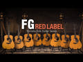 Yamaha FGX3II Western Gitarren (Træ)