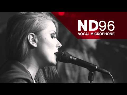 Electro-Voice ND66 Instrument Mikrofon