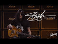 Epiphone Slash Les Paul Standard E-Gitarre (November Burst)
