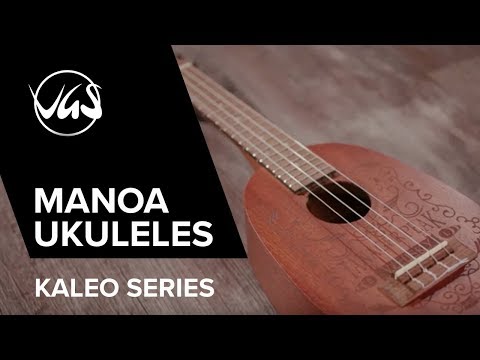 GEWA Konzert Ukulele Manoa Kaleo - E-A Konzert Lefthand (Sapelli matt)