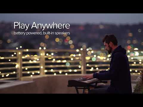 Roland GO:PIANO 88PX Startpaket
