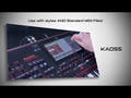 Korg PA-1000 Keyboards (Bordeux)