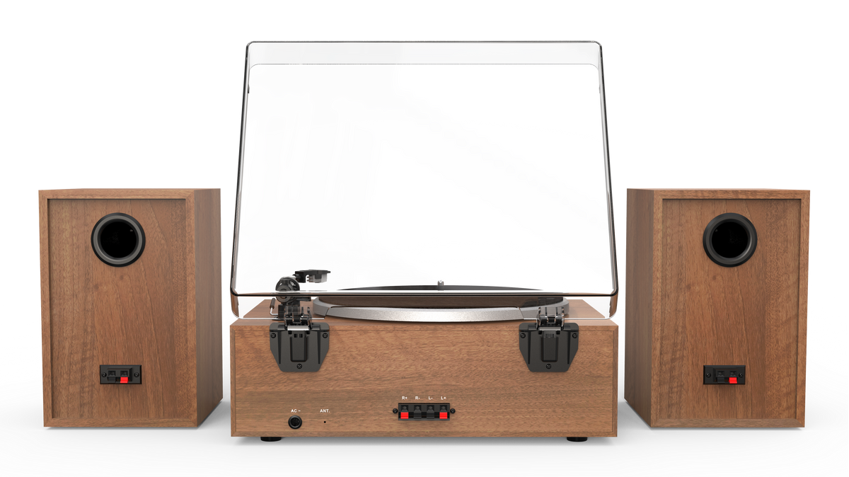 Aiwa LPS-1WD Plattenspielersystem