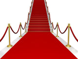 Roter Teppich (2 x 10 Meter)