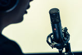 sE Electronics sE2300 Studio Microphone