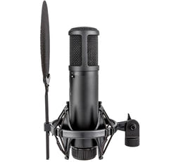 sE Electronics sE2200 Kondensator Studiomikrofon