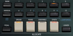 Hammond SK PRO 61 E-Orgel