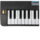 SUPRIMO 6109L batteriebetriebenes Keyboard für Bildungszwecke mit Hintergrundbeleuchtung