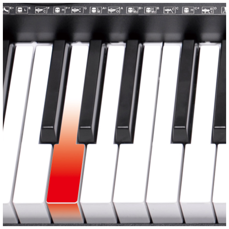 V-TONE VK-500 61L Keyboards – 61 Tangenter mit LED-Lernfunktion für Kinder und Anfänger
